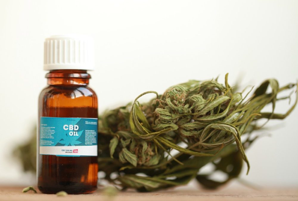 Natural Alternatives Gaining Popularity Like Hemp Oil For Pain Management Today